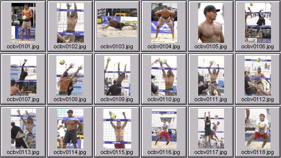 men's beach volleyball pictures