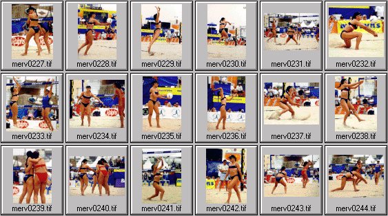 women's beach volleyball pictures