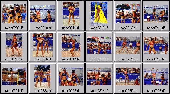 women's beach volleyball pictures