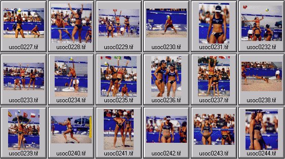 women's beach volleyball pictures