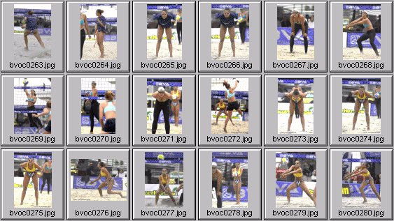 women's beach volleyball pictures