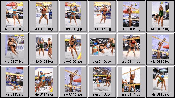 women's beach volleyball pictures