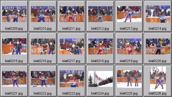 biathlon photos - 2002 winter olympics