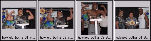 botha holyfield fight