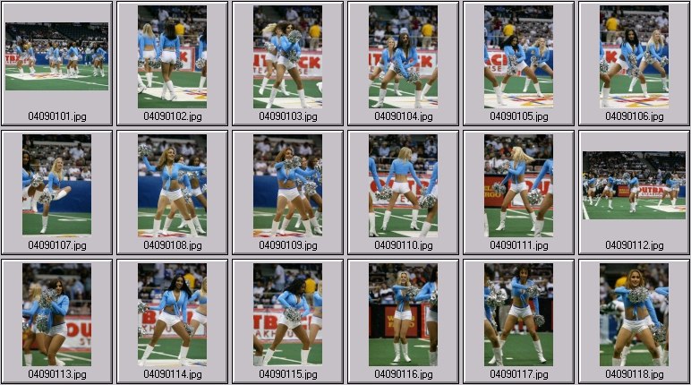 arena football cheerleading pictures