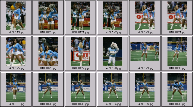 arena football cheerleading pictures