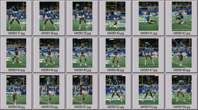 arena football cheerleading pictures