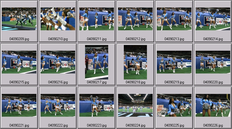 arena football cheerleading pictures