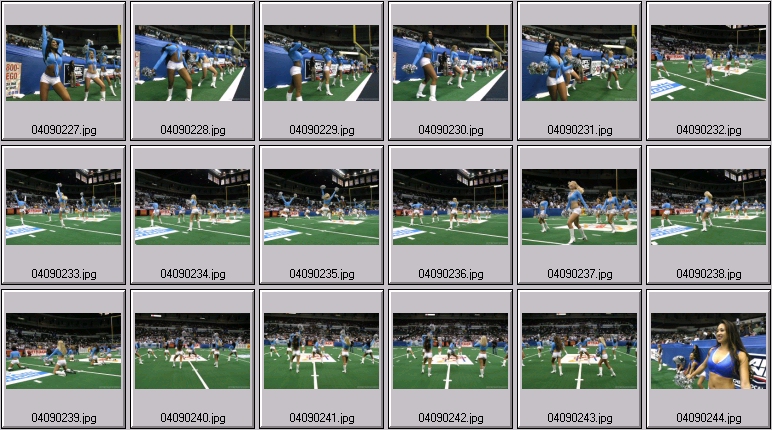 arena football cheerleading pictures