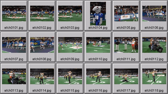 arena football cheerleading pictures