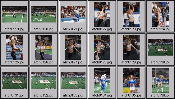 arena football cheerleading pictures