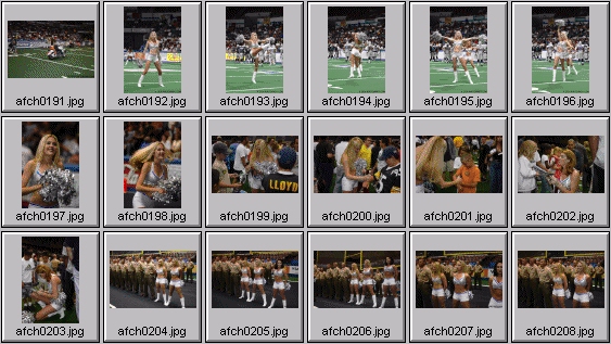 arena football cheerleading pictures