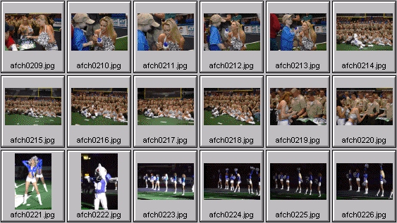 arena football cheerleading pictures