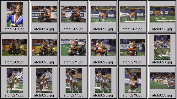 arena football cheerleading pictures