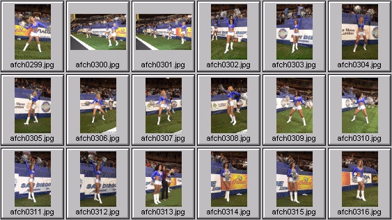 arena football cheerleading pictures