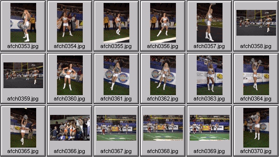 arena football cheerleading pictures