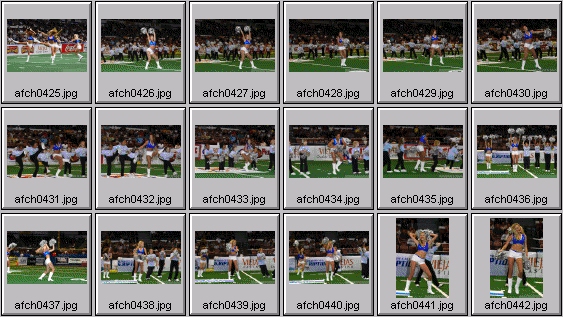 arena football cheerleading pictures