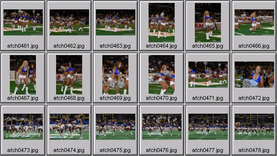 arena football cheerleading pictures