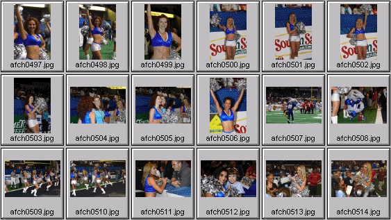 arena football cheerleading pictures