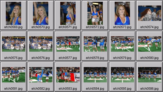 arena football cheerleading pictures
