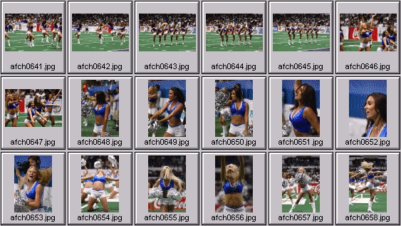 arena football cheerleading pictures