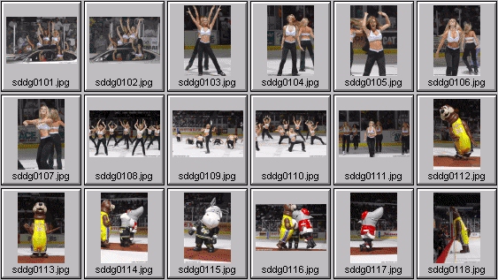 pro cheerleading pictures