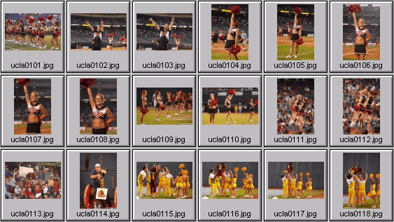 pro cheerleading pictures