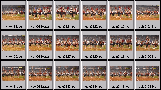 college cheerleading pictures