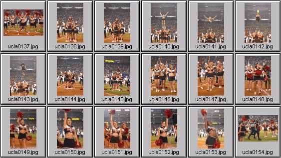 college cheerleading pictures