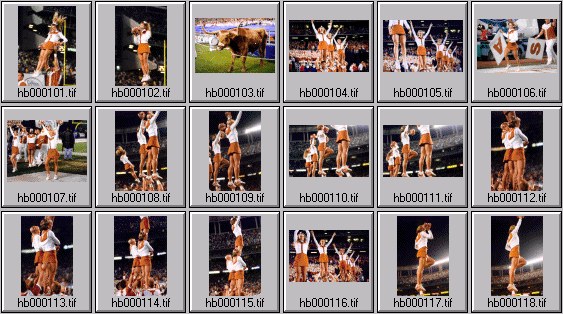 texas college cheerleader pictures