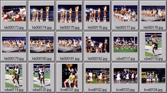 college cheerleader pictures