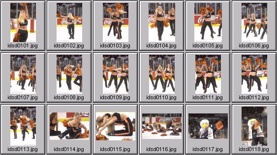 professional cheerleader pictures