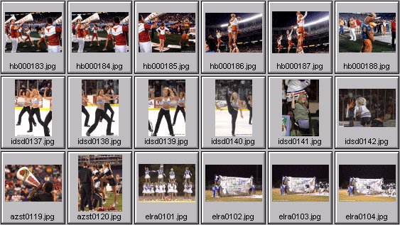 professional cheerleader pictures