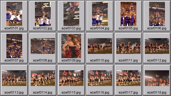 professional cheerleader pictures