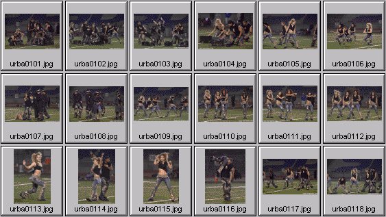 professional cheerleader pictures