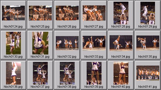 professional cheerleader pictures