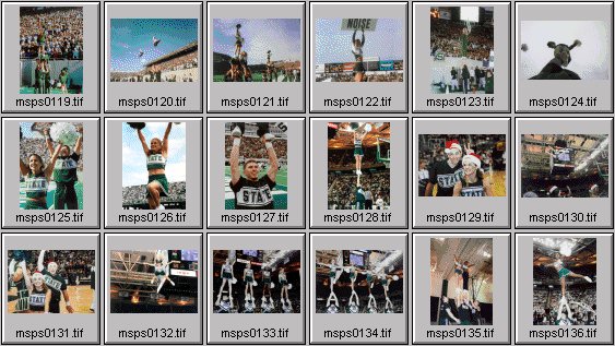 college cheerleader pictures