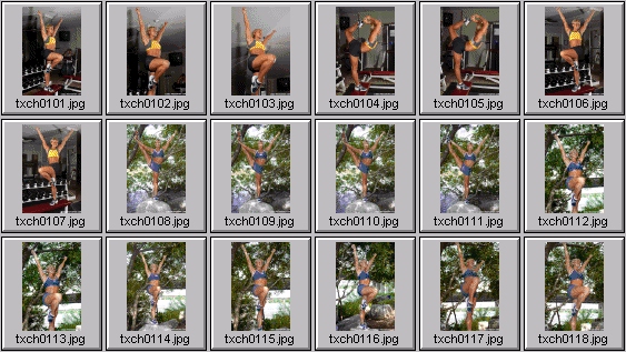 college cheerleader pictures