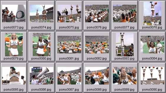 college cheerleading pictures