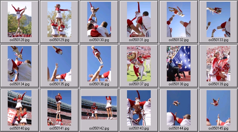 ohio state cheerleader photos