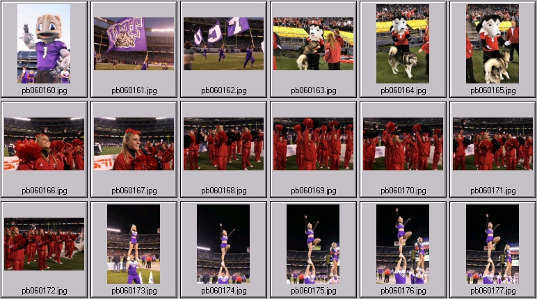 n illinois husky cheer