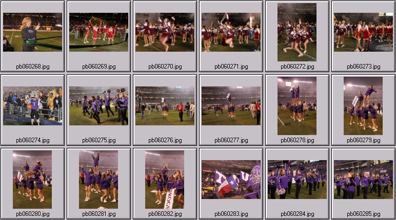 northern illinois cheerleading