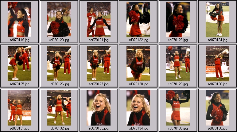 cincinatti bearcat cheer photos
