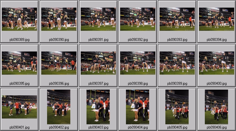 utah cal cheer squad