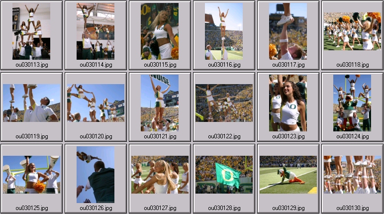 oregon duck cheer