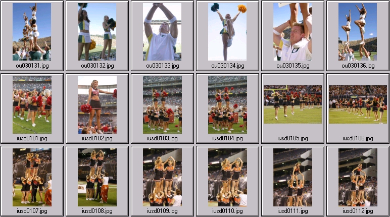 oregon sdsu idaho state cheer