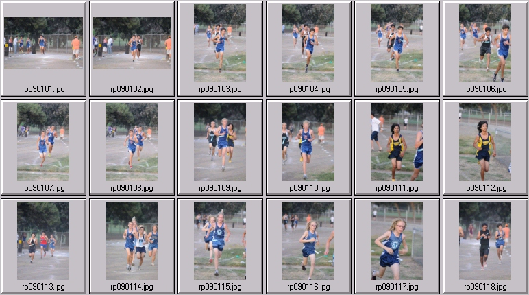 men's cross country