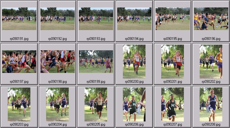 men's cross country
