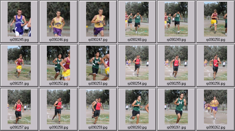 men's cross country