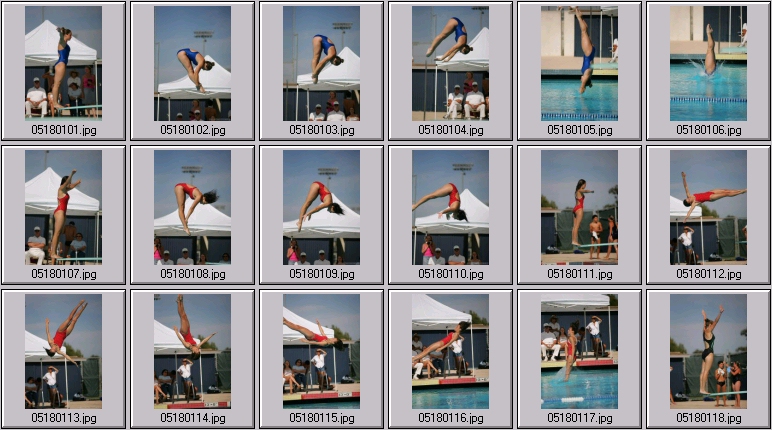 womens springboard diving photos